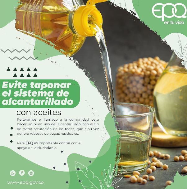 Imagen de WhatsApp 2024-01-10 a las 17.13.17 007dec5a