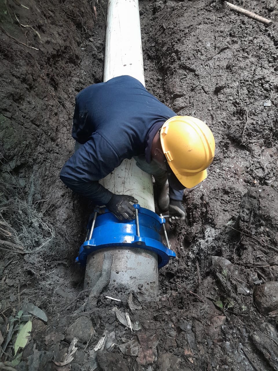 LINEA GRAVEDAD MONTENEGRO