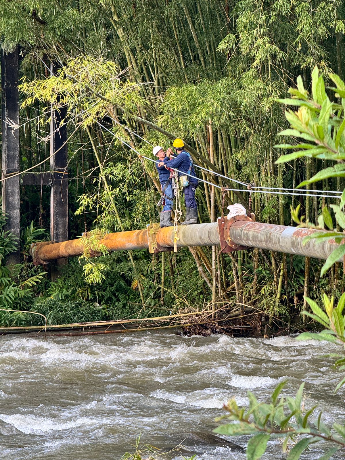 LÍNEA DE GRAVEDAD TEBAIDA