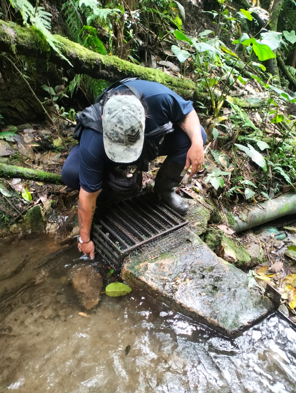 WhatsApp Image 2025-07-04 at 4.38.31 PM