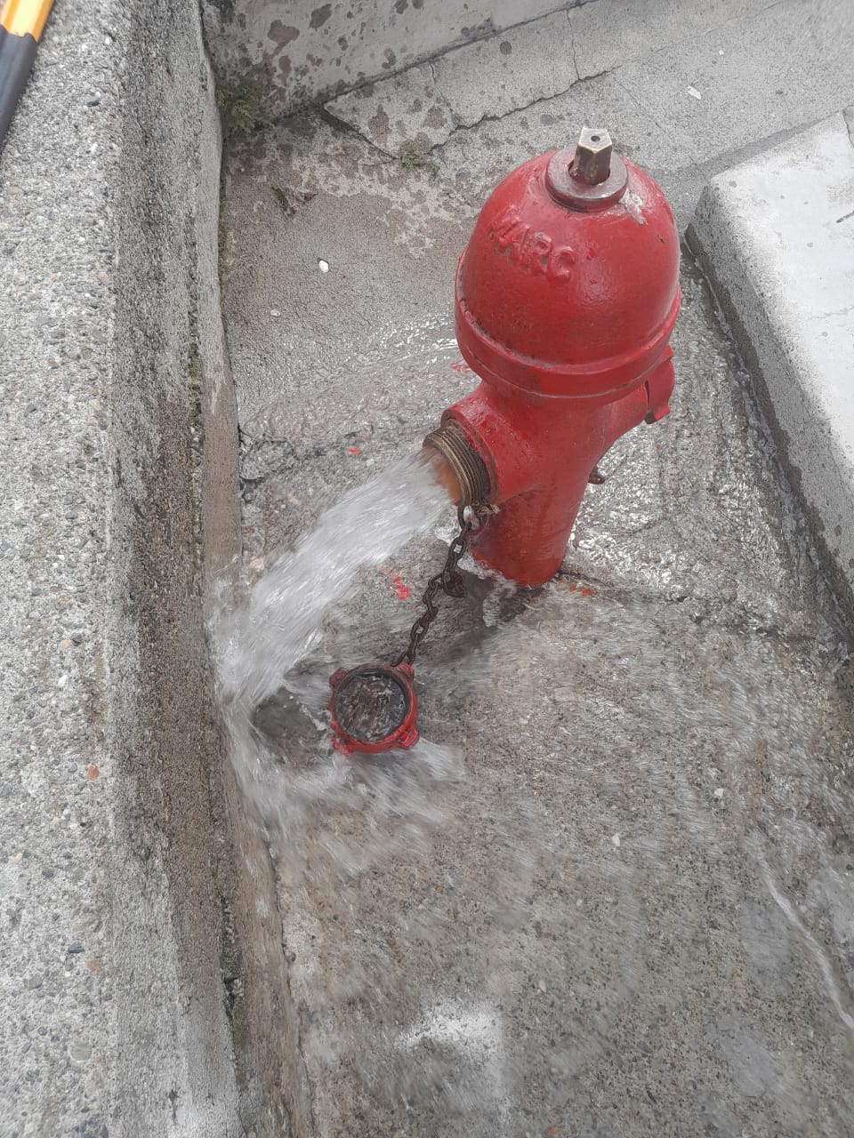 WhatsApp Image 2025-07-06 at 11.15.17 AM