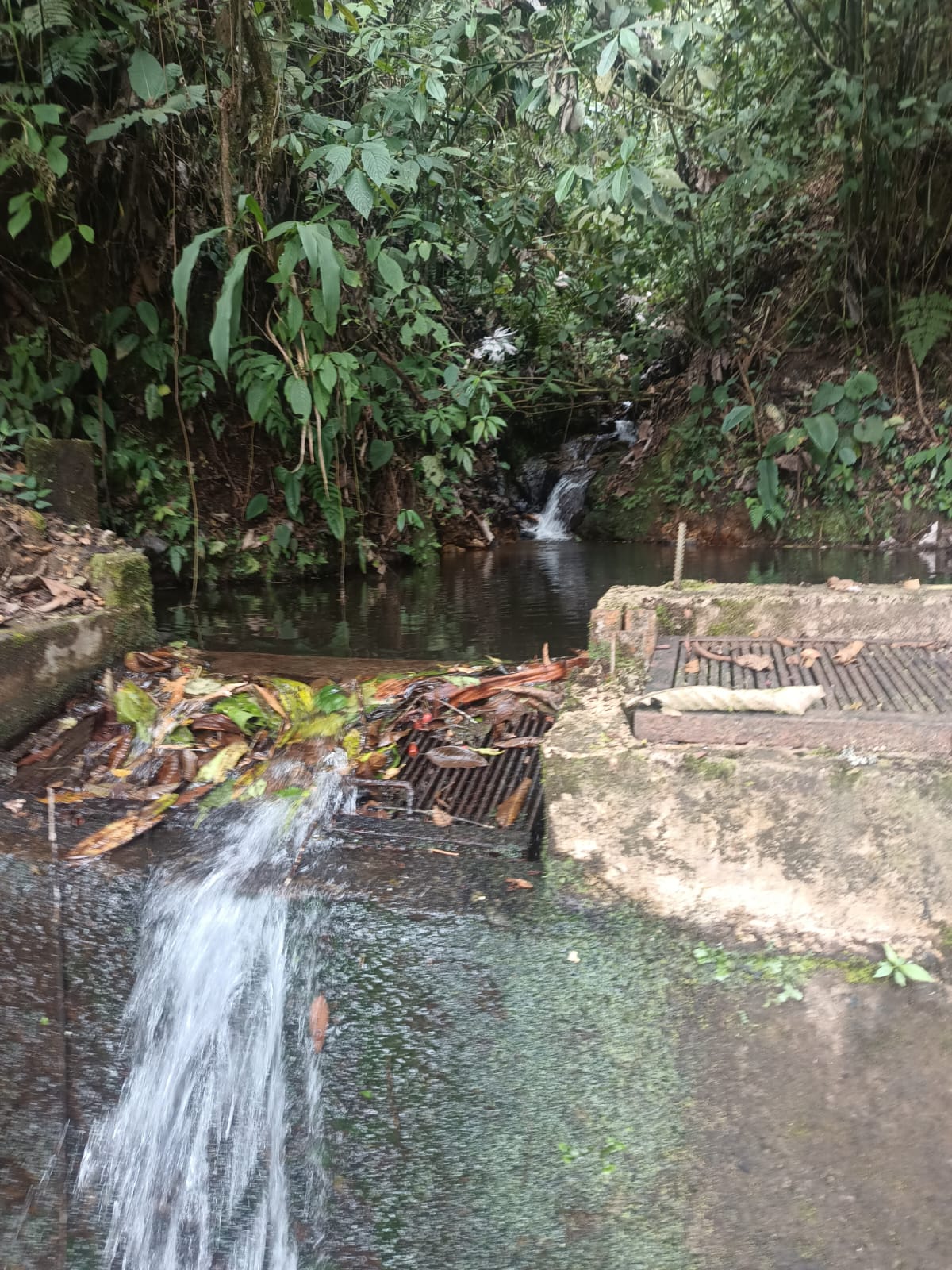 WhatsApp Image 2025-07-13 at 1.58.09 PM