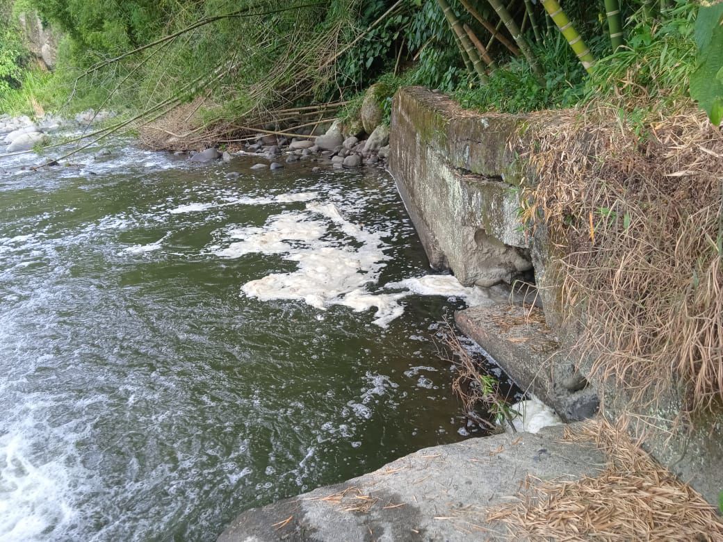 WhatsApp Image 2025-08-04 at 9.55.10 AM