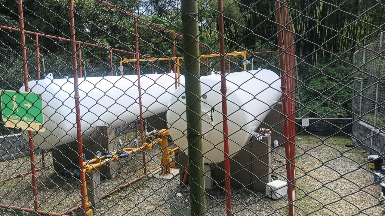 WhatsApp Image 2025-08-27 at 8.45.01 AM