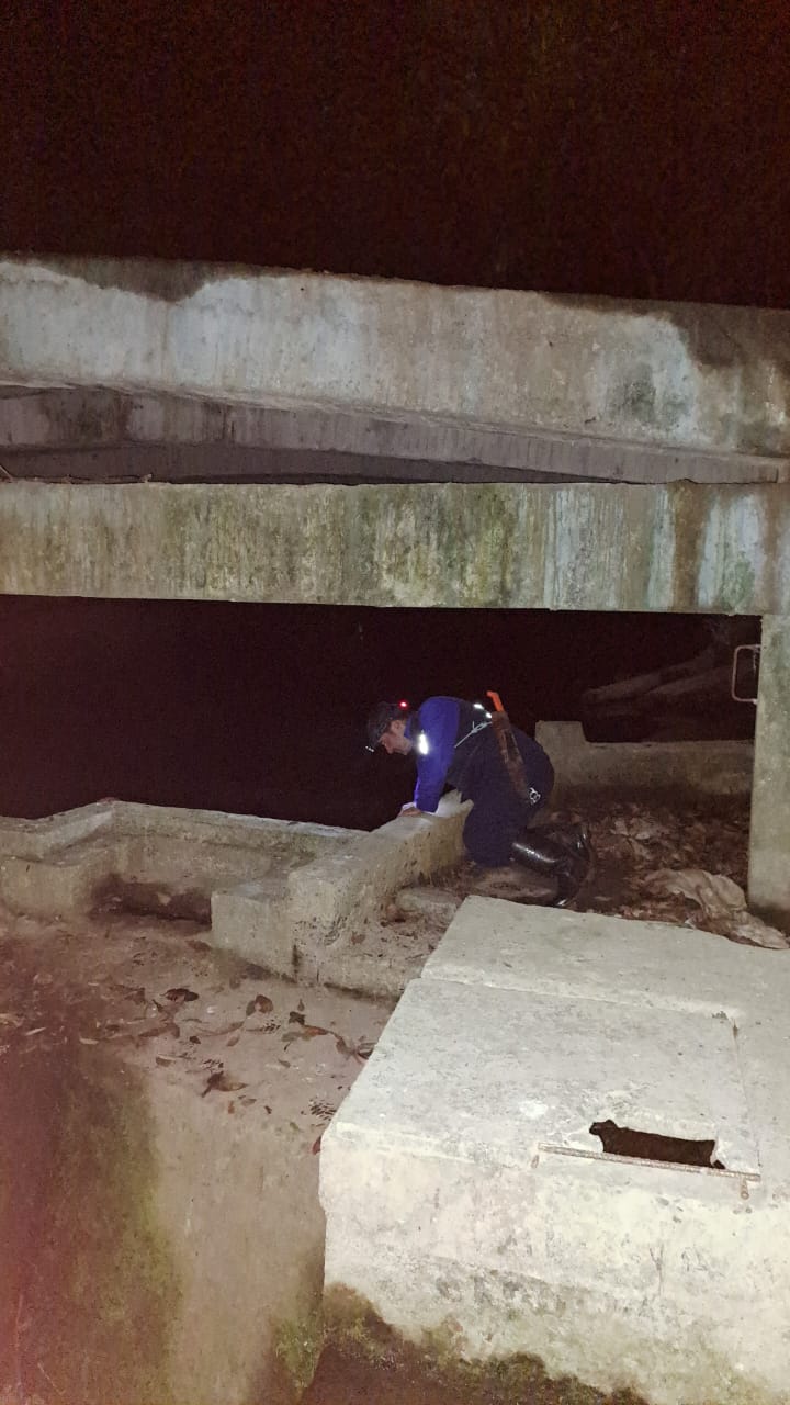 WhatsApp Image 2025-09-03 at 6.13.22 AM